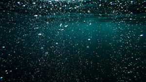 New MBARI technology reveals ocean carbon storage in real time